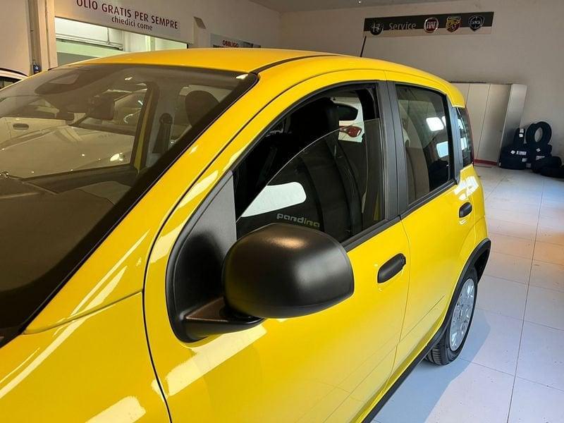 FIAT Panda 1.0 FireFly S&S Hybrid Pandina