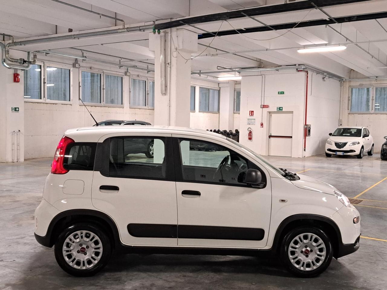 Fiat Panda 1.0 FireFly Hybrid Street N1 Autocarro 4 Posti