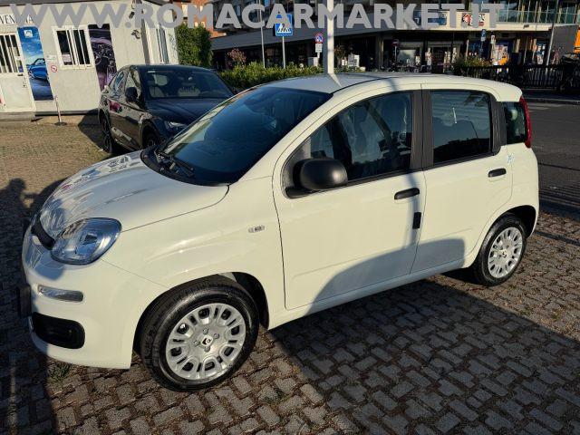 FIAT Panda 1.0 FireFly S&S Hybrid ITA PACK CITY NO VINCOLI