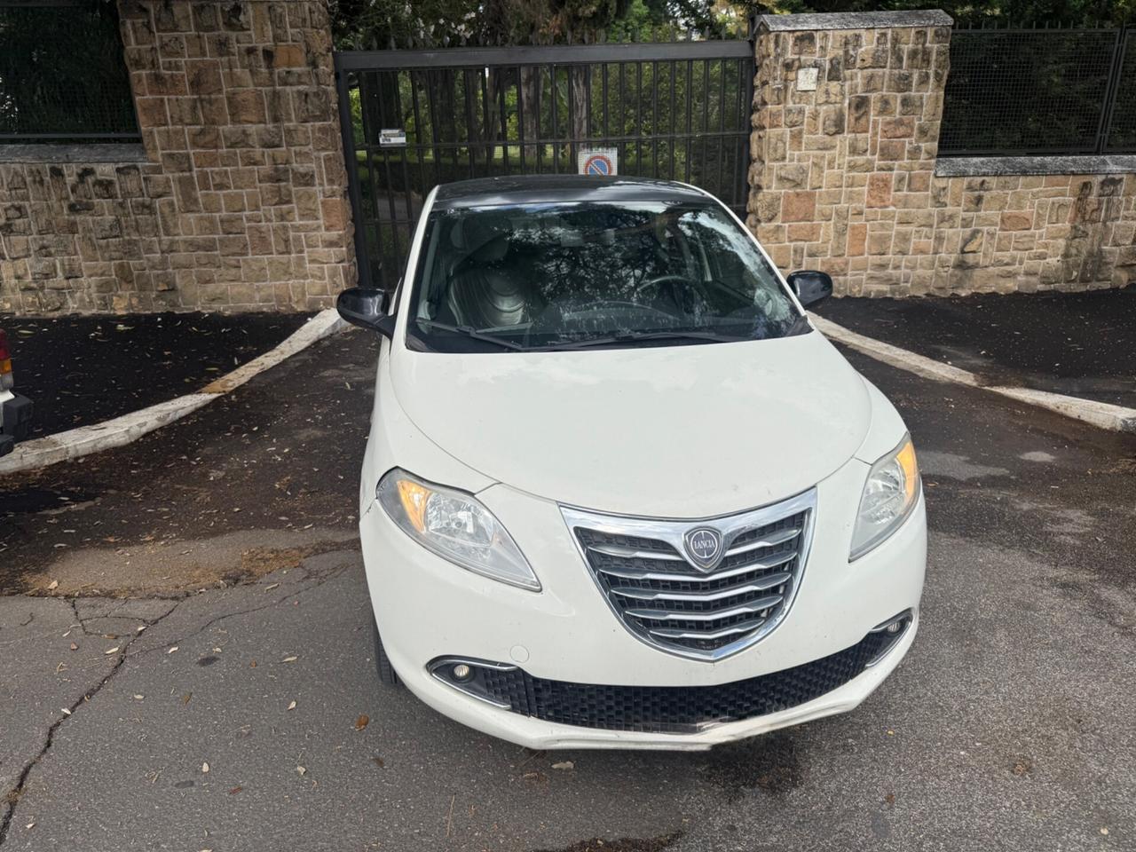 Lancia Ypsilon 0.9 TwinAir 85 CV 5 porte S&S DFN Platinum