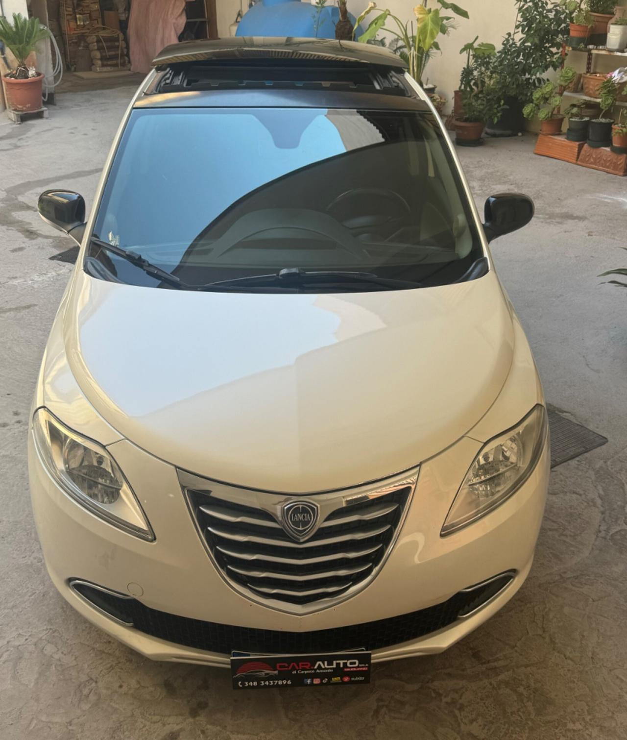 Lancia Ypsilon 1.3 MJT 16V 95 CV 5 porte S&S Platinum