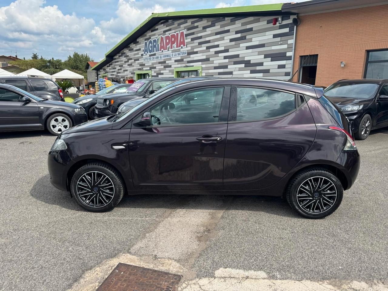 Lancia Ypsilon 1.2 BENZ ELEFANTINO 2013