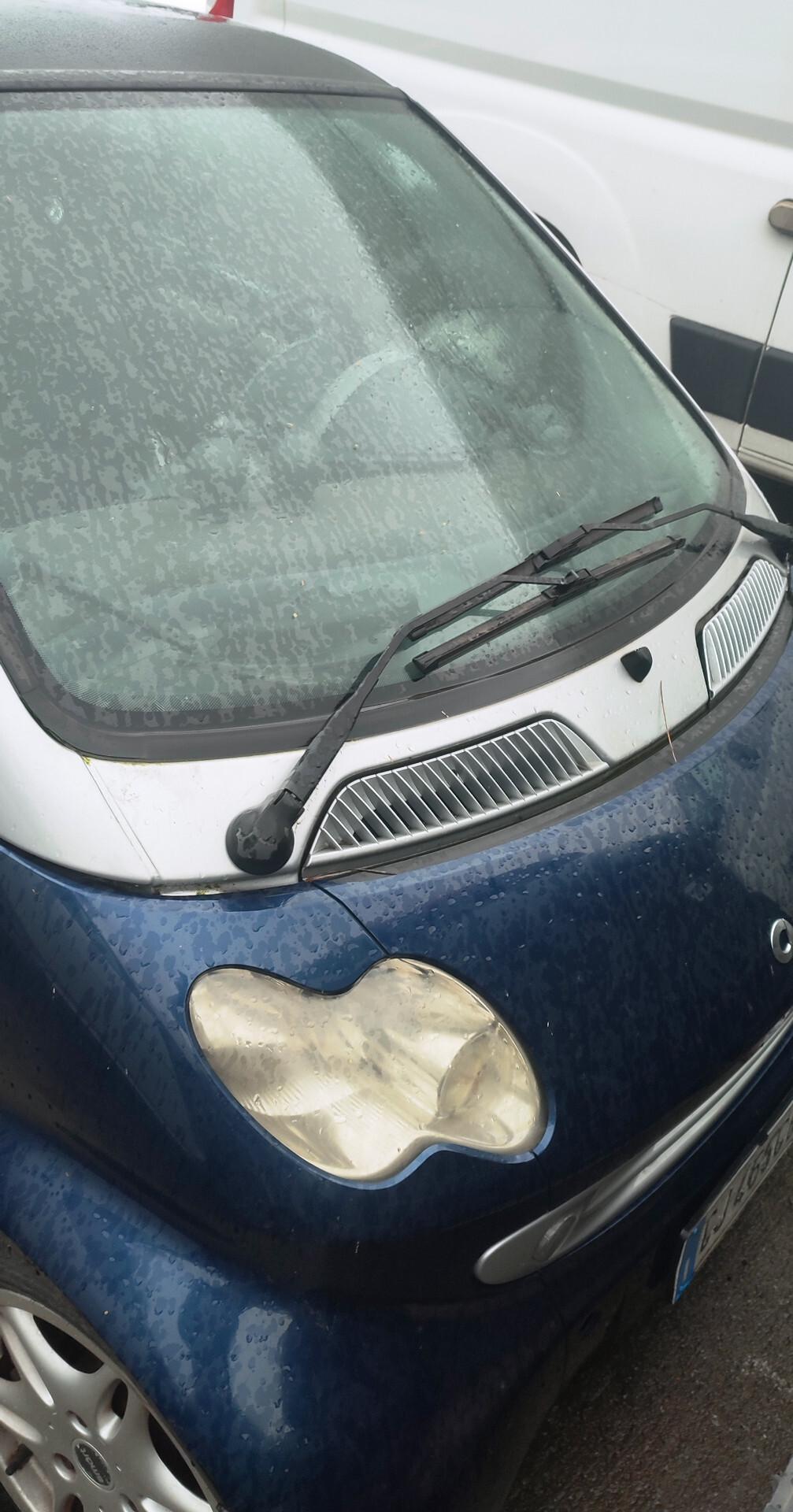 Smart 700 con motore km 10000