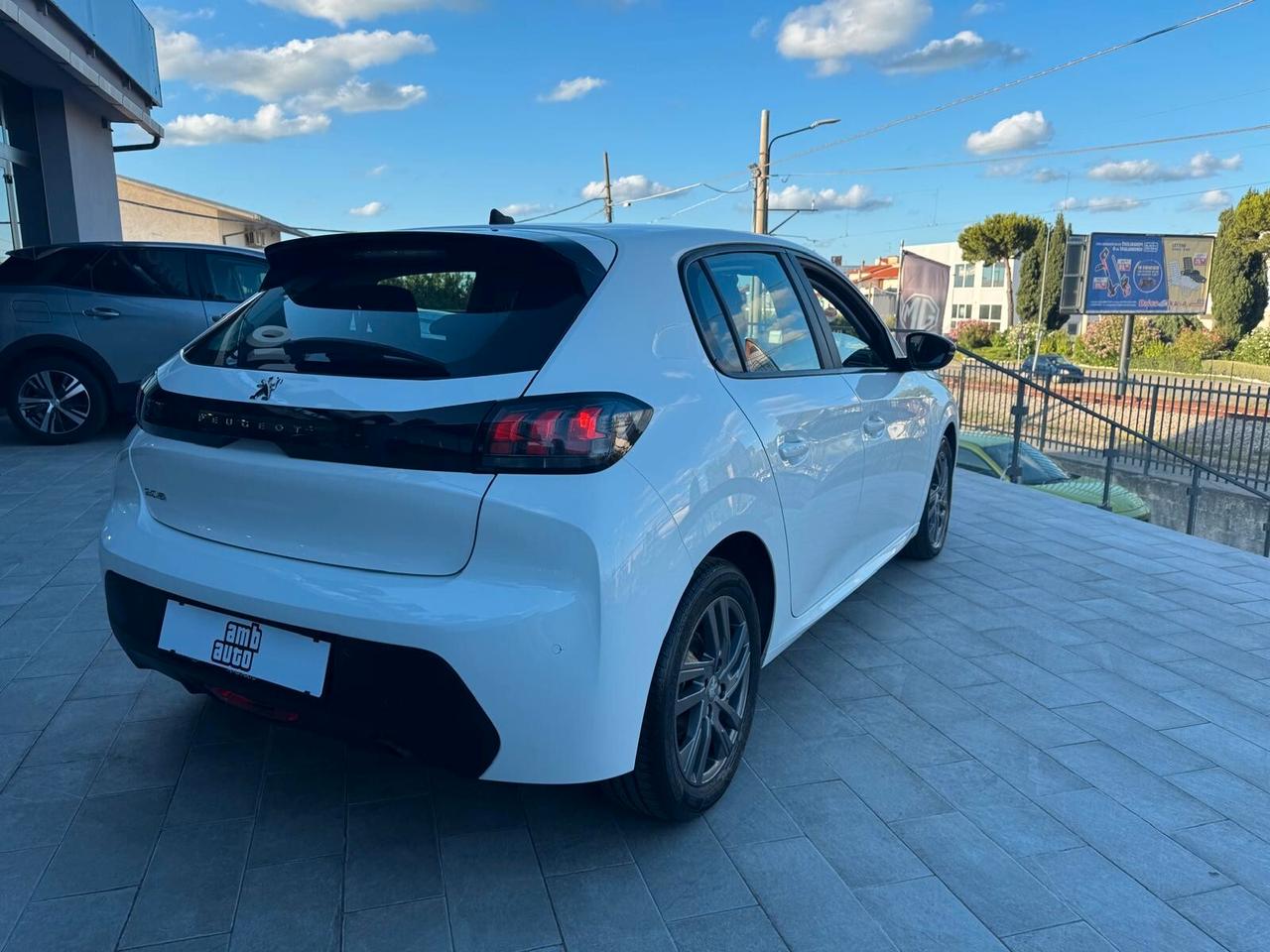 Peugeot 208 BlueHDi 100 5 porte