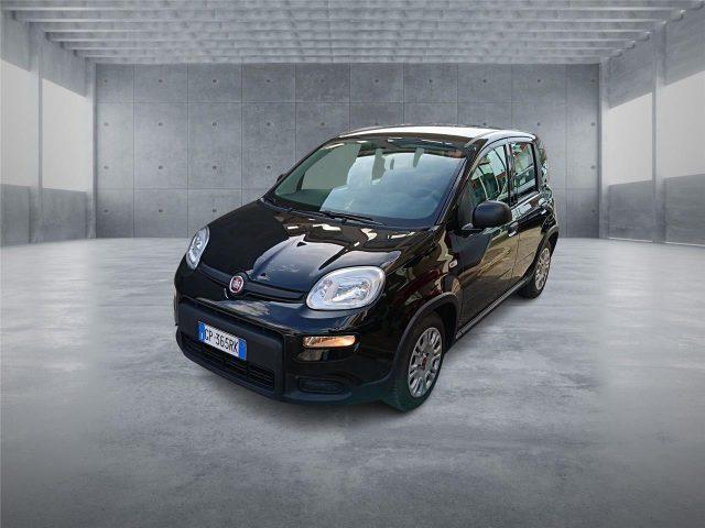 FIAT Panda 3ª serie 1.0 FireFly S&S Hybrid