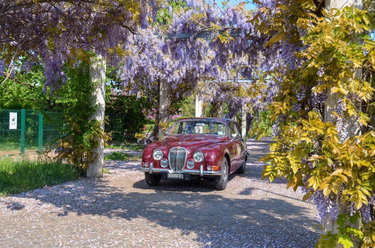 Jaguar S-Type 3.4 S - DA COLLEZIONE