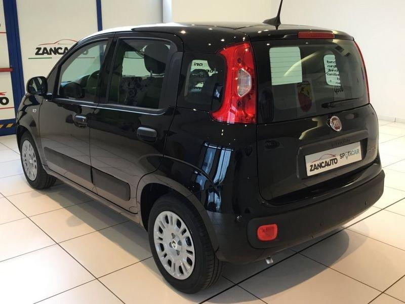 FIAT Panda Panda 1.0 FireFly S&S Hybrid Pop 65cv