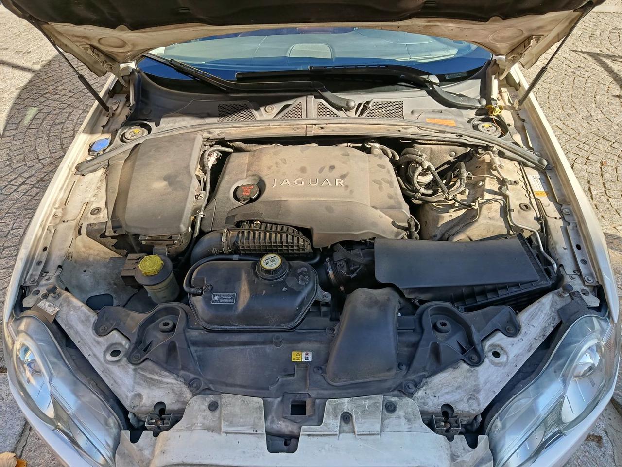 Jaguar XF Portfolio 3.0 D S #7681