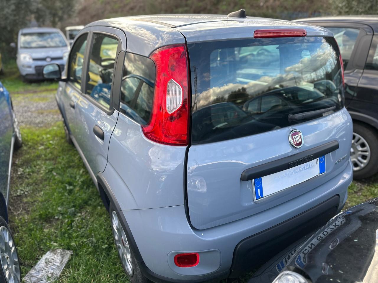 FIAT Panda III 2021 - Panda 1.0 firefly hybrid s&s 70cv 5p.ti