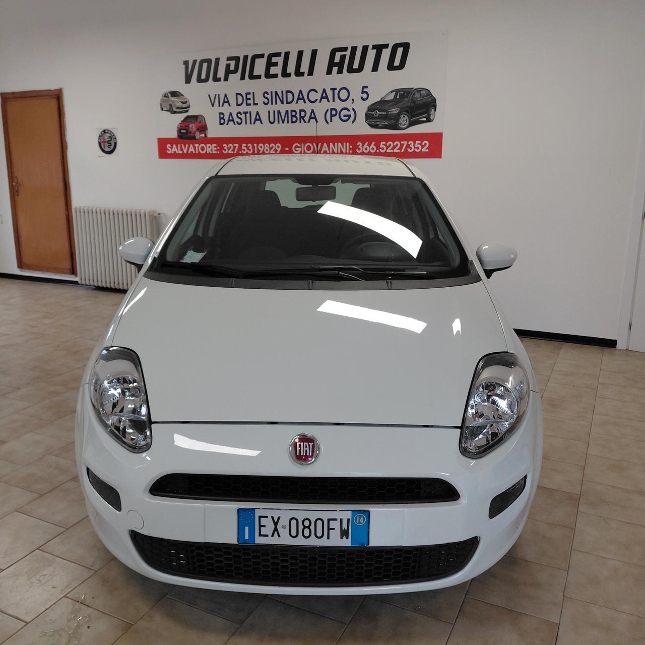 FIAT PUNTO ANNO 2014 BZ 1.2 ADATTA NEOPATENTATI KM 65 MILA