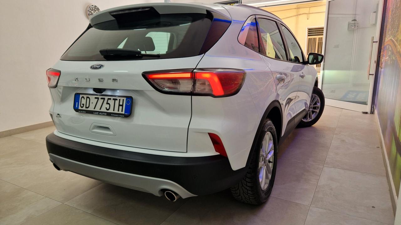 Ford Kuga 1.5 EcoBlue 120 CV aut. 2WD Titanium Business