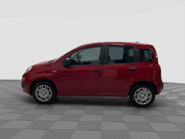 FIAT Panda Pandina 1.0 FireFly 65 CV Hybrid Icon