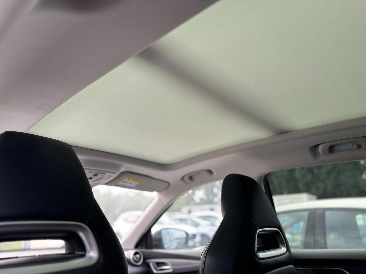 MG HS I - HS 1.5 t Luxury