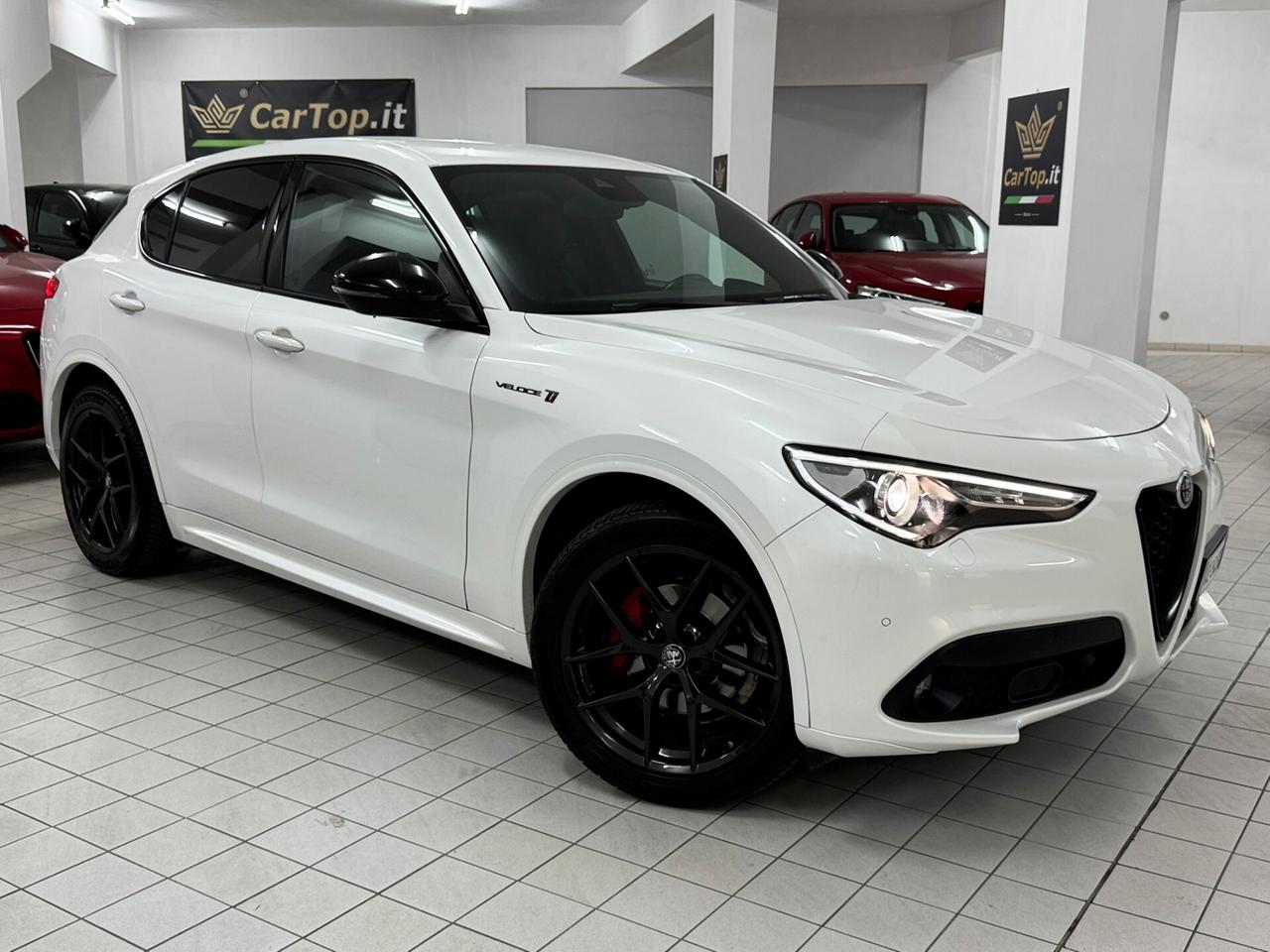 Alfa Romeo Stelvio 2.2 TD 210CV VELOCE Ti Q4 CARBONIO ALCANTARA PELLE