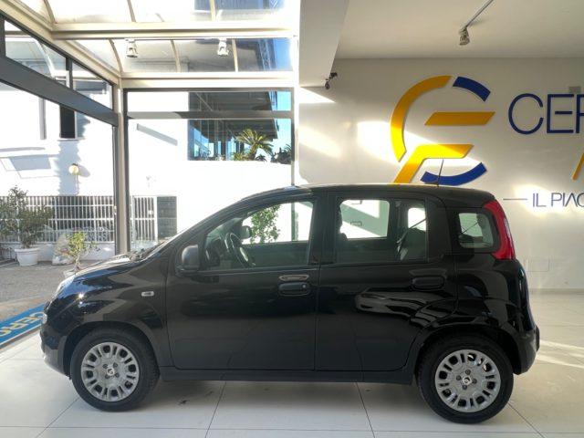 FIAT Panda 1.0 FireFly S&S Hybrid Pandina da ?149,00