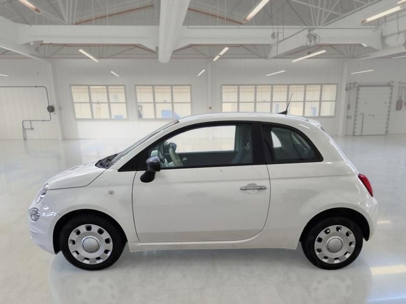 FIAT 500 1.0 70 CV IBRIDO CULT 3 PORTE BERLINA
