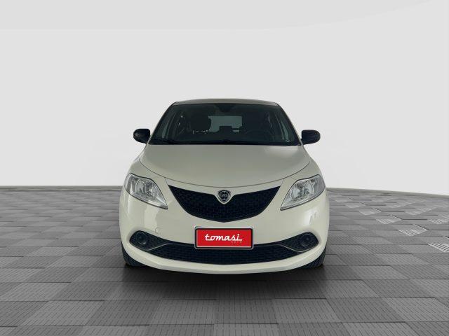 LANCIA Ypsilon Ypsilon 1.2 69 CV 5 porte S&S Gold