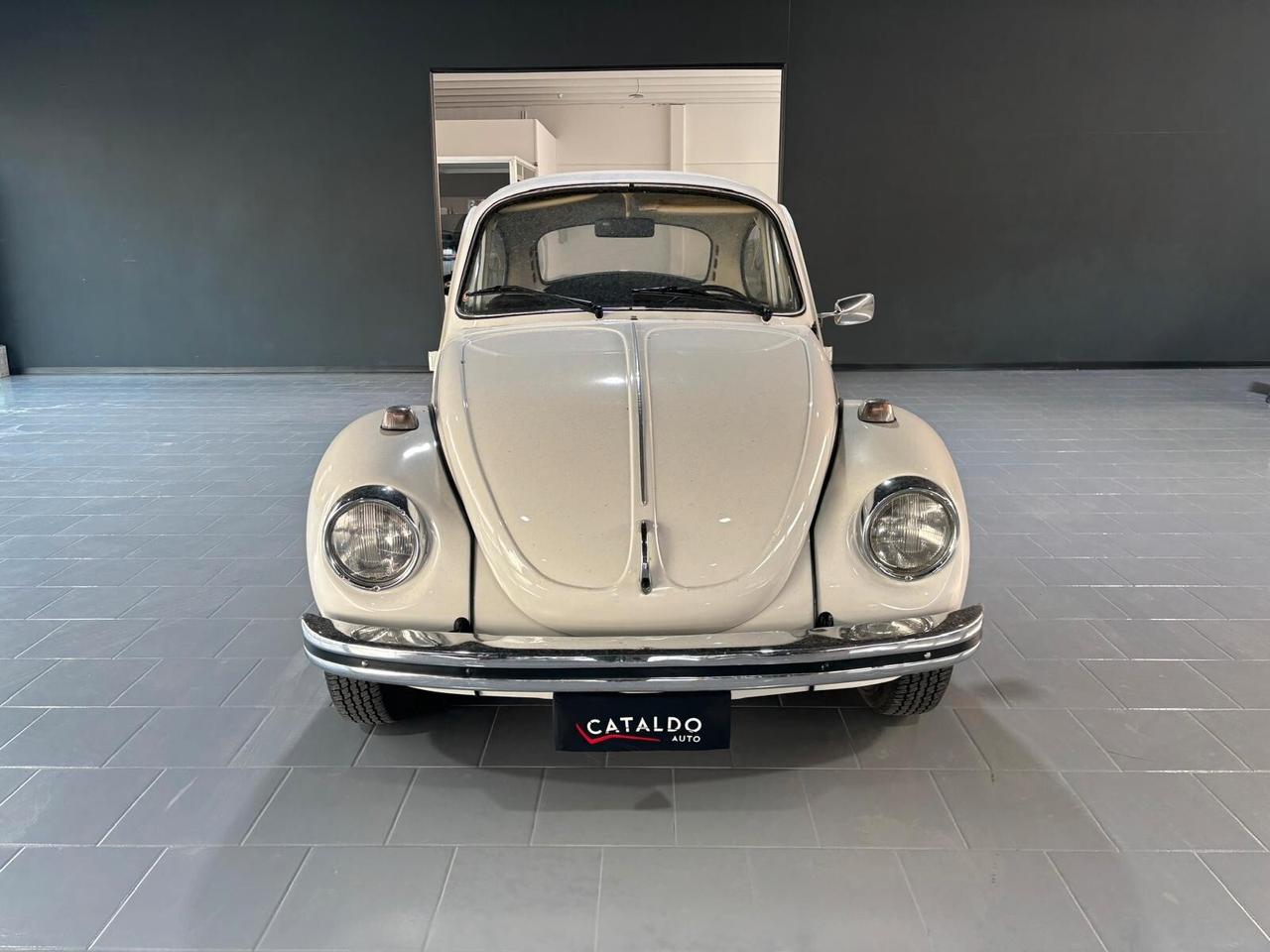 Volkswagen Maggiolino