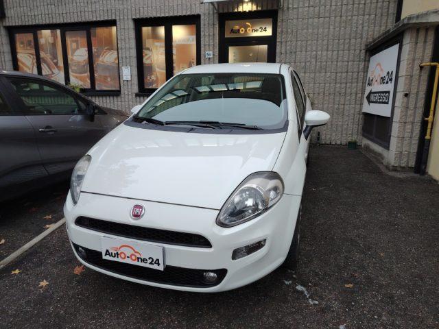 FIAT Punto 1.2 8V 5 porte Street NEOPATENTATI