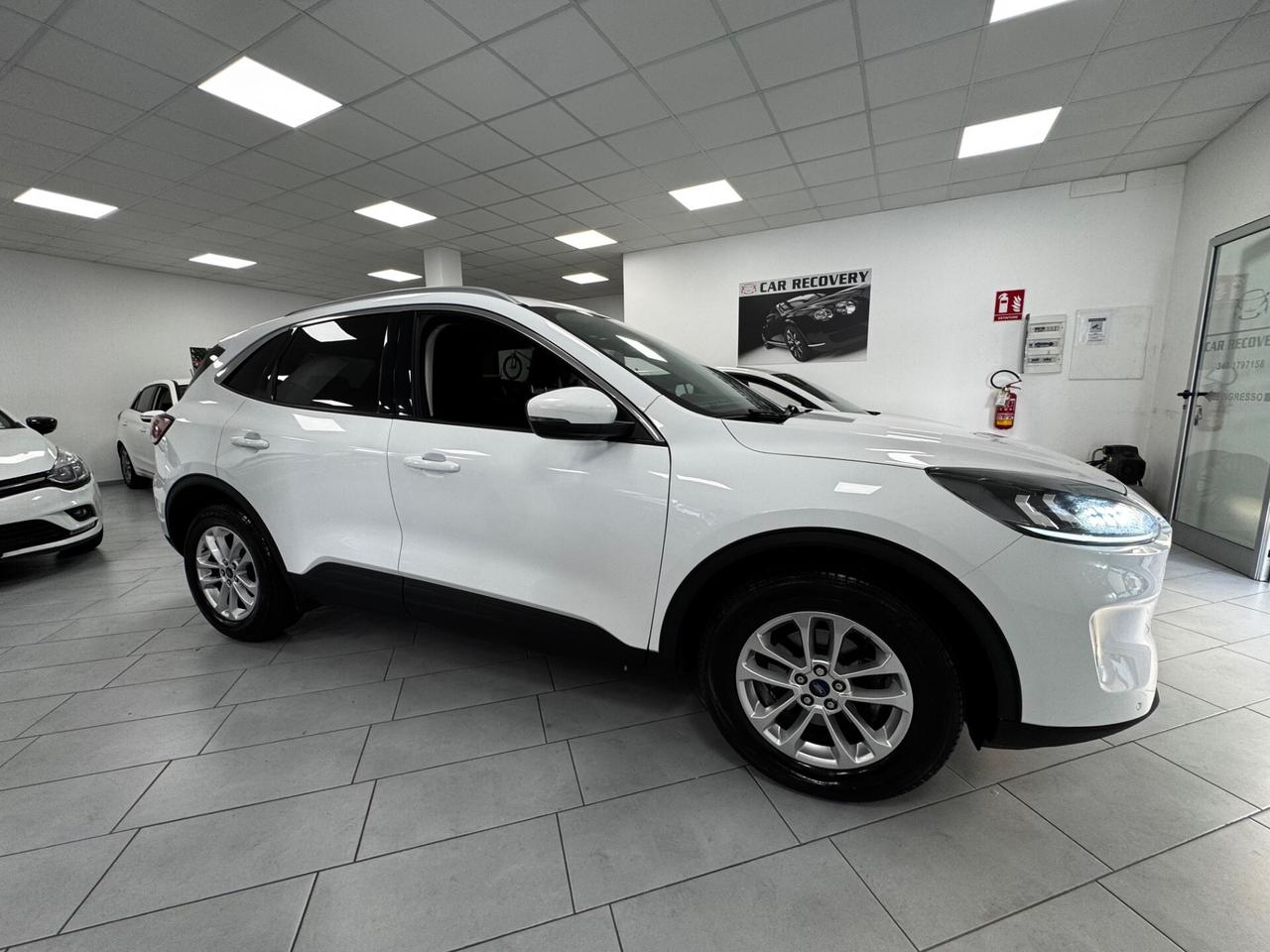Ford Kuga 1.5 EcoBlue 120 CV 2WD Titanium