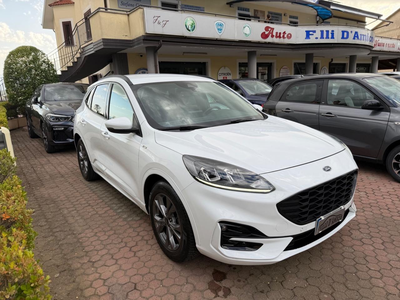 Ford Kuga 1.5 EcoBlue 120 CV aut. 2WD ST-Line