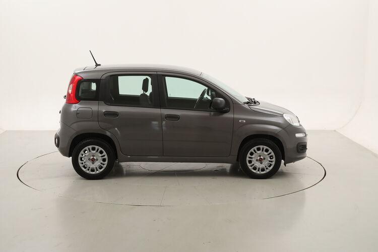 Fiat Panda Easy BZ045904 1.2 Benzina 69CV