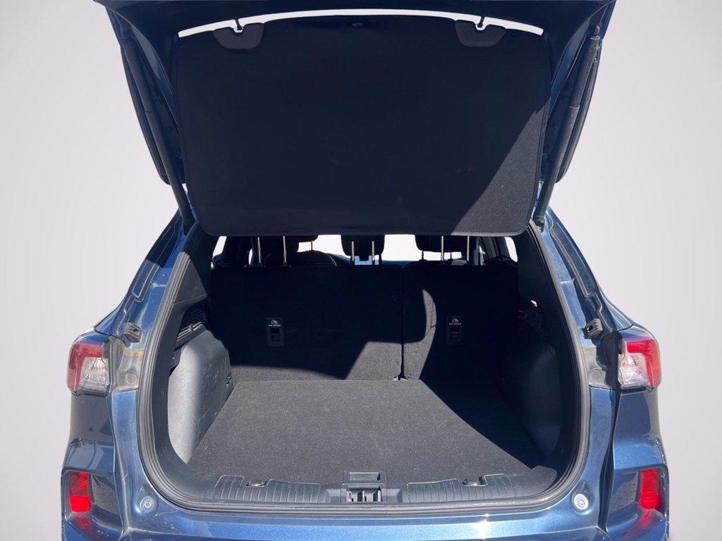 FORD Kuga 1.5 ecoblue ST-Line 2wd 120cv auto del 2022
