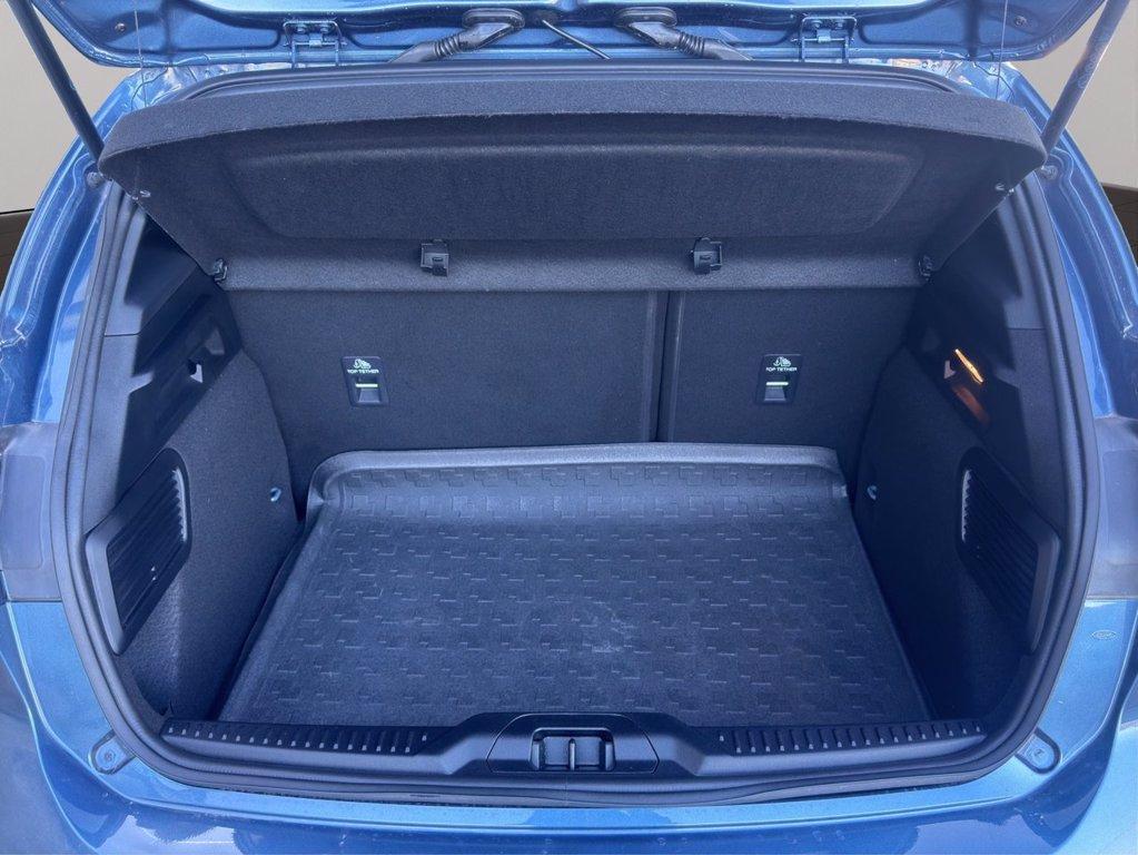 FORD Focus 1.0 EcoBoost Hybrid 125 CV 5p. ST-Line del 2023