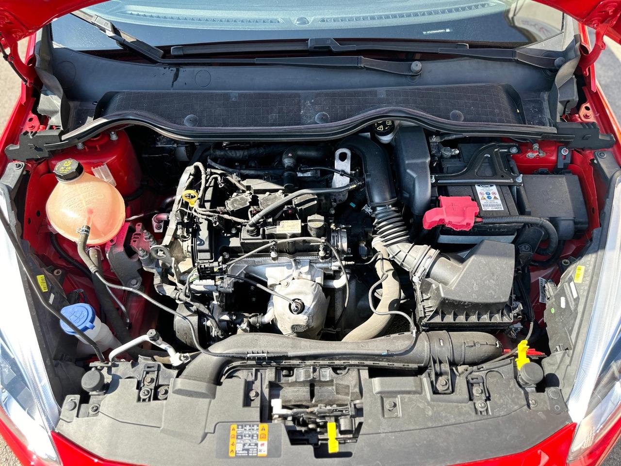 Ford Fiesta 1.1 5 porte Plus