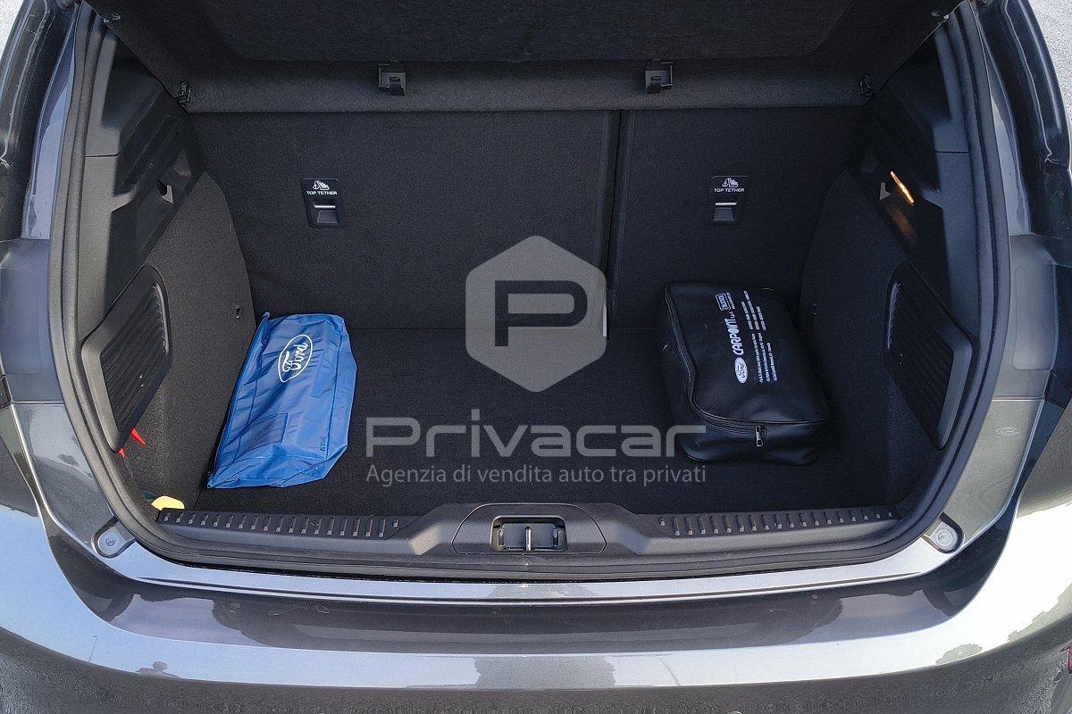 FORD Focus 1.0 EcoBoost Hybrid 125 CV 5p. ST-Line