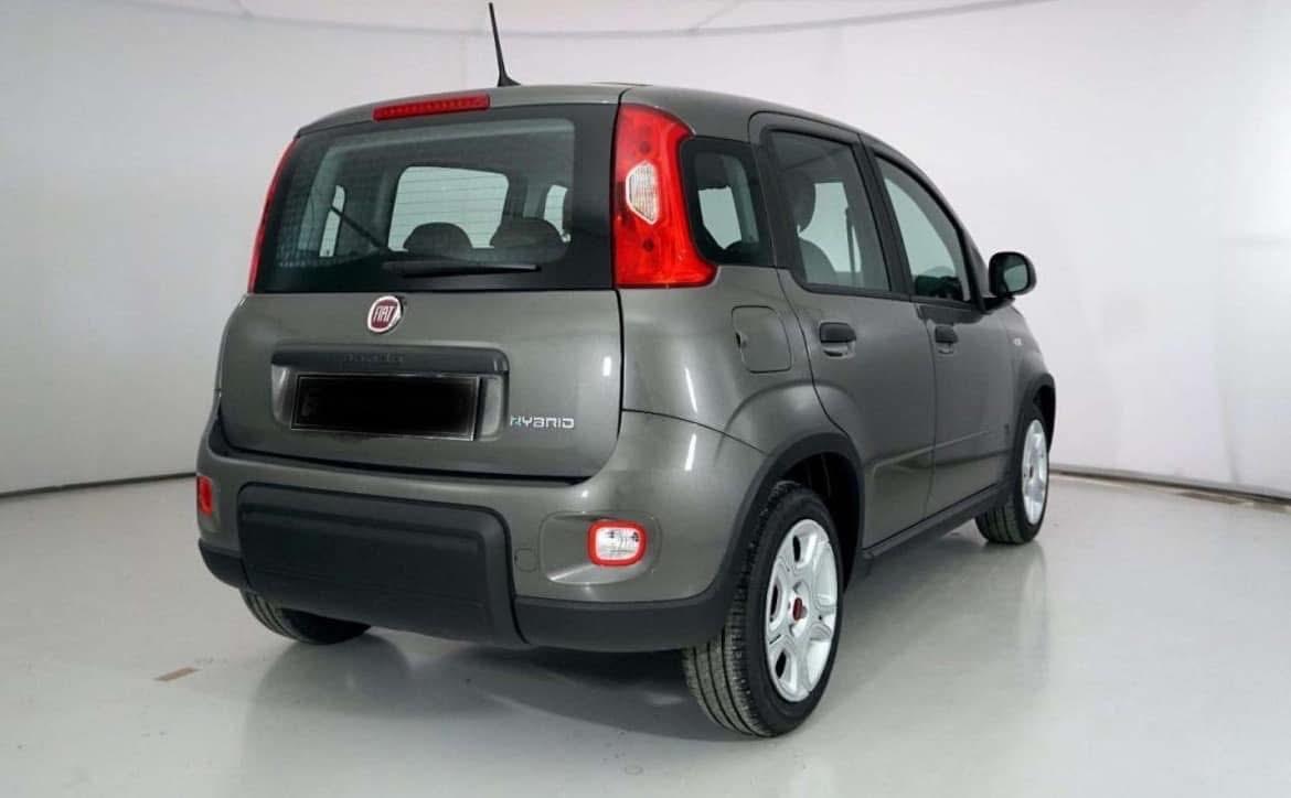 Fiat Panda 1.0 FireFly S&S Hybrid AUTO A NOLEGGIO