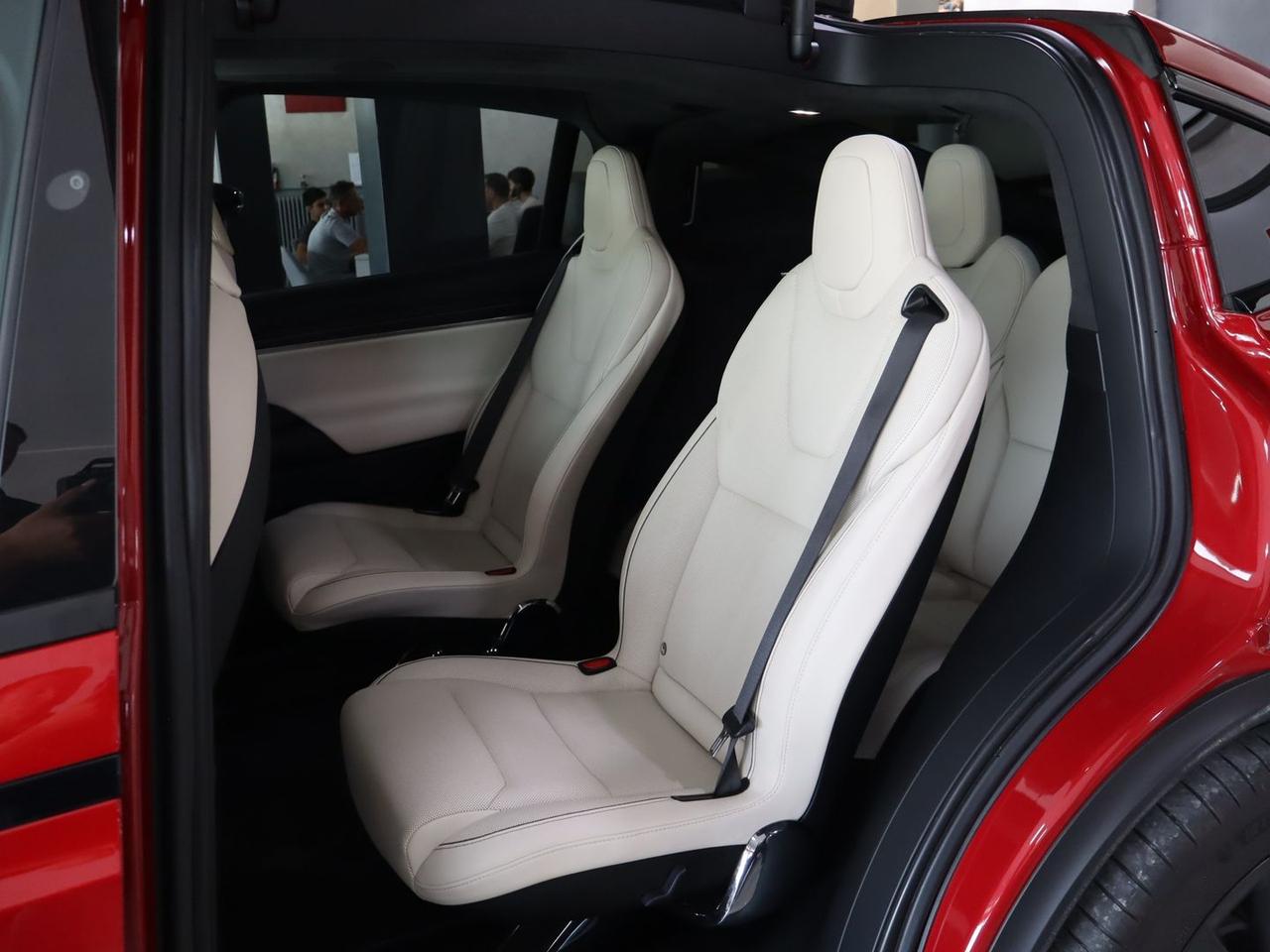 Tesla Model X Plaid #11739