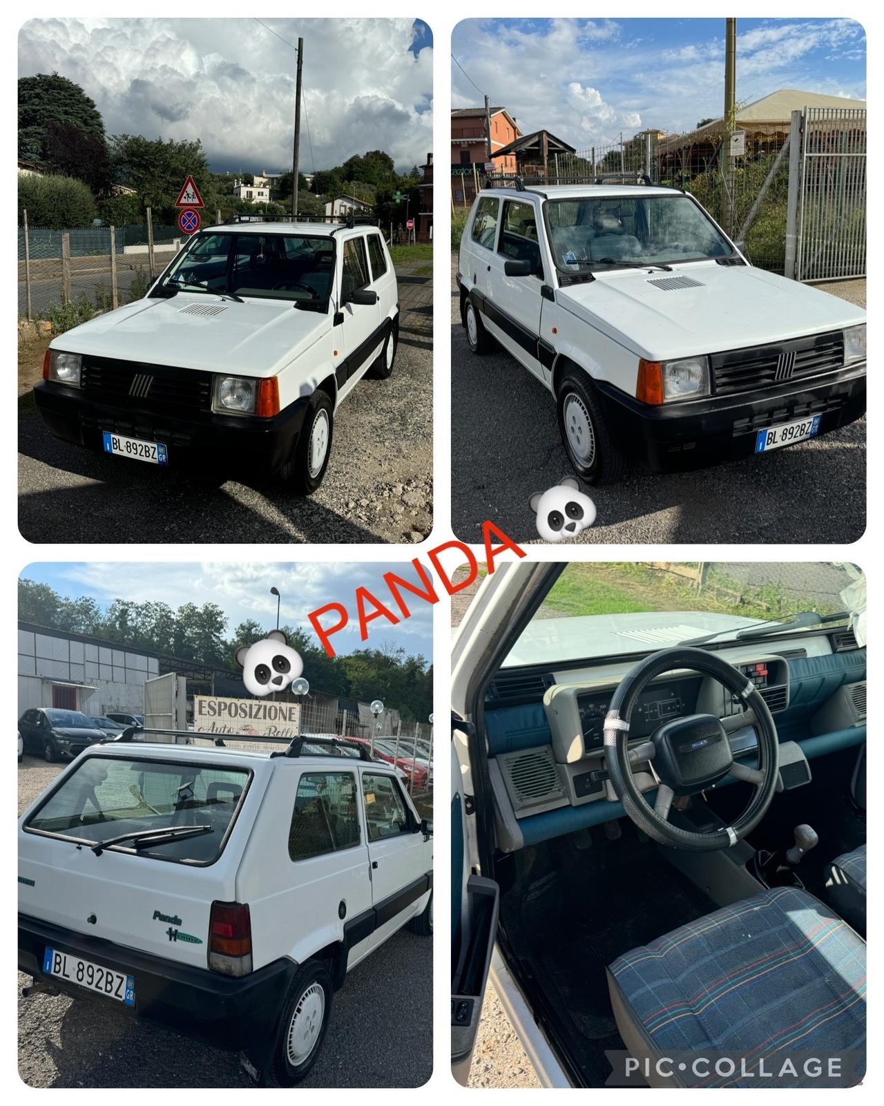 Fiat Panda 900 i.e. cat Young