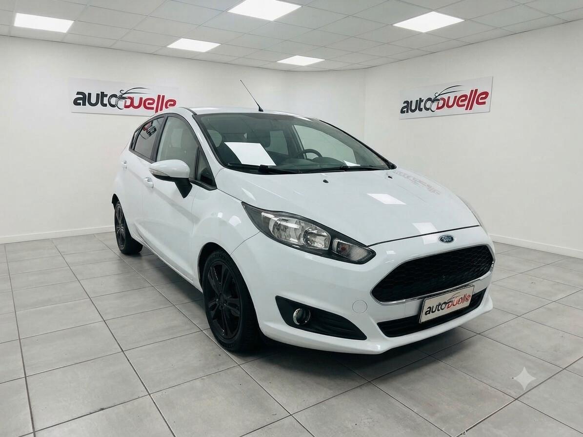 Ford Fiesta 1.4 5 porte Bz.- GPL Black & White Edition