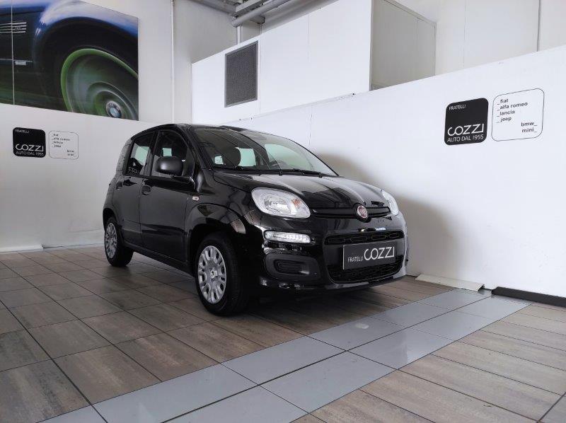 FIAT Pandina - Pandina 1.0 FireFly 65 CV Hybrid Icon