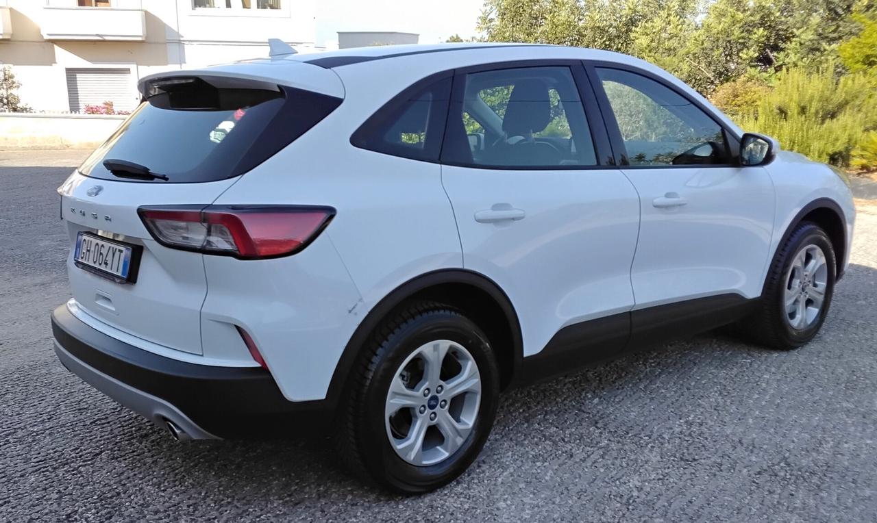 Ford Kuga 1.5 EcoBlue 120 CV aut. 2WD Titanium Business