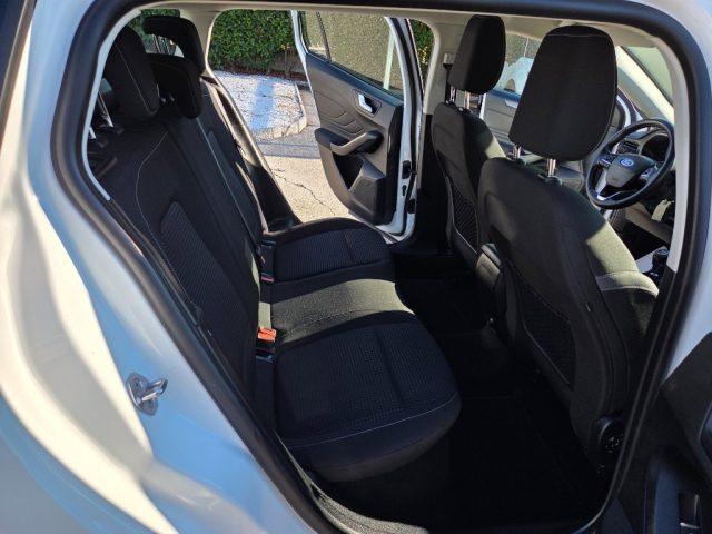 FORD Focus N1 1.5 EcoBlue 120 CV SW Business N1 AUTOCARRO
