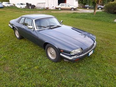 JAGUAR XJS XJS 5300 v 12 STUPENDA ASI in OFFERTA!!