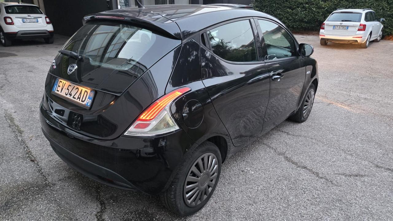 Lancia Ypsilon 1.2 69 CV 5 porte S&S Platinum