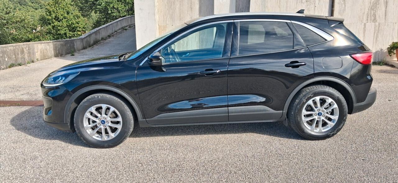 Ford Kuga 1.5 EcoBlue 120 CV 2WD Titanium