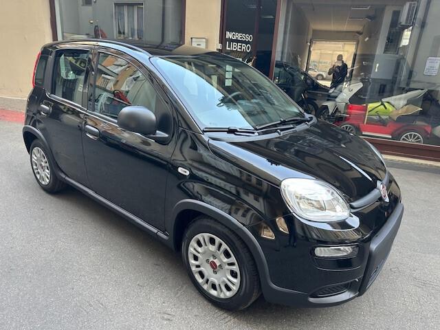 Fiat Panda 1.0 FireFly S&S Hybrid (PREZZO REALE)