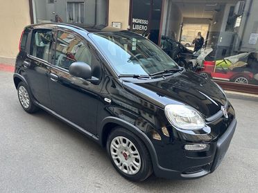 Fiat Panda 1.0 FireFly S&S Hybrid (PREZZO REALE)