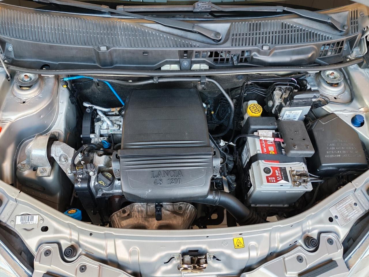 Lancia Ypsilon - TAGLIANDATA - tenuta MOLTO bene !!!