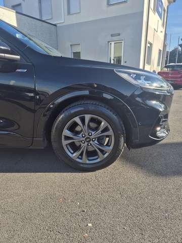 Ford Kuga Kuga III 2020 X 2.0 ecoblue ST-line 2wd 120cv auto