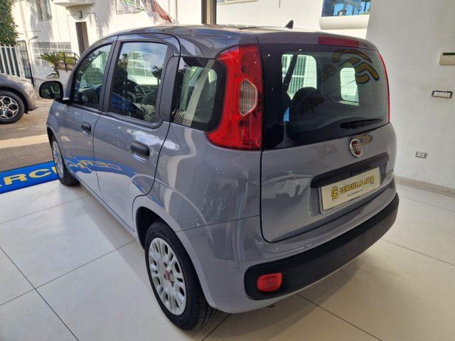 FIAT Panda 1.0 FireFly S&S Hybrid da ?119,00 mensili