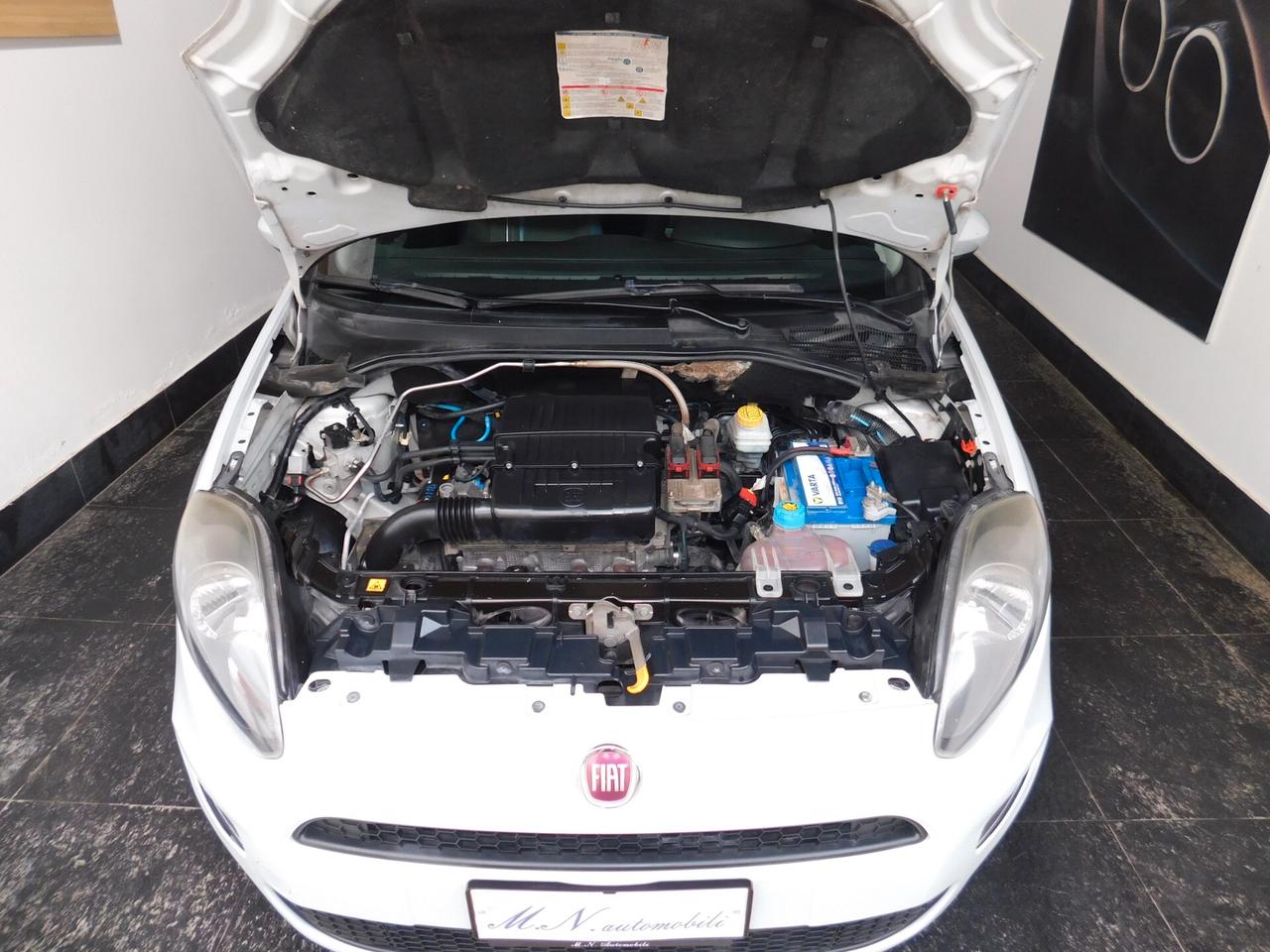 Fiat Punto Evo 1.2 5 porte S&S MyLife