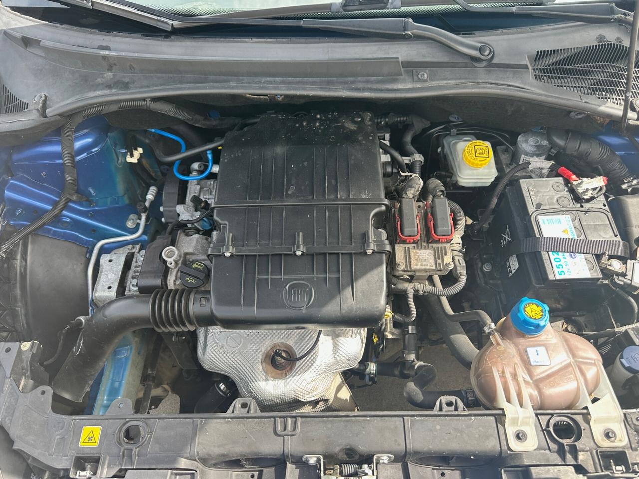 Fiat Punto Evo 1.2 Benz 69CV 5 porte S&S Dynamic