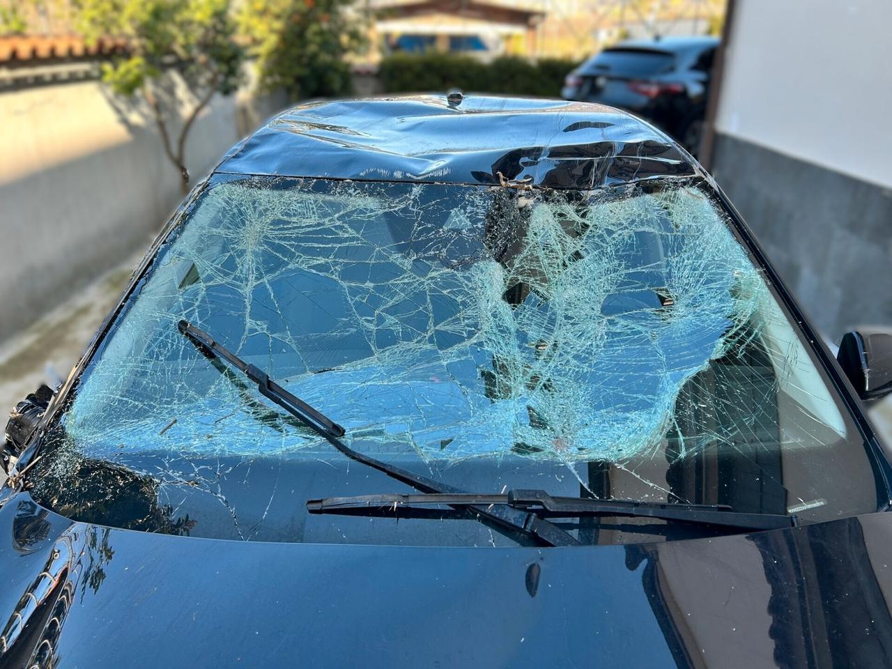 VOLKSWAGEN POLO 1.0 Benzina 80cv - 2024