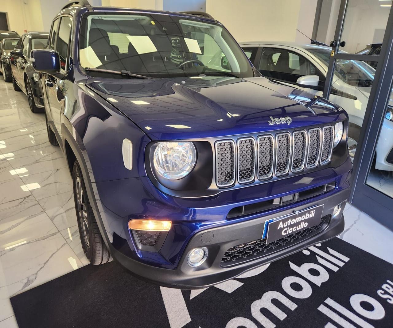 Jeep Renegade 1.6 Mjt 120 CV Longitude