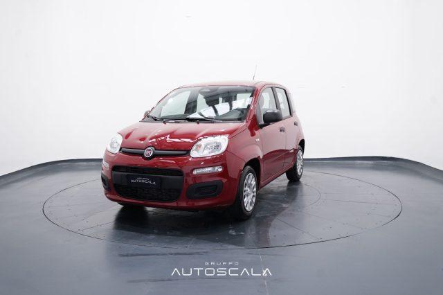 FIAT New Panda My25 1.0 FireFly S&S Hybrid